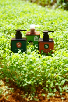 MÙA HẠ DƯỠNG DƯƠNG - CHĂM SÓC SỨC KHOẺ THUẬN TỰ NHIÊN