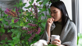 Hương Nhu trị 5 Bệnh Hay Gặp Vào Mùa Thu ( Đông )